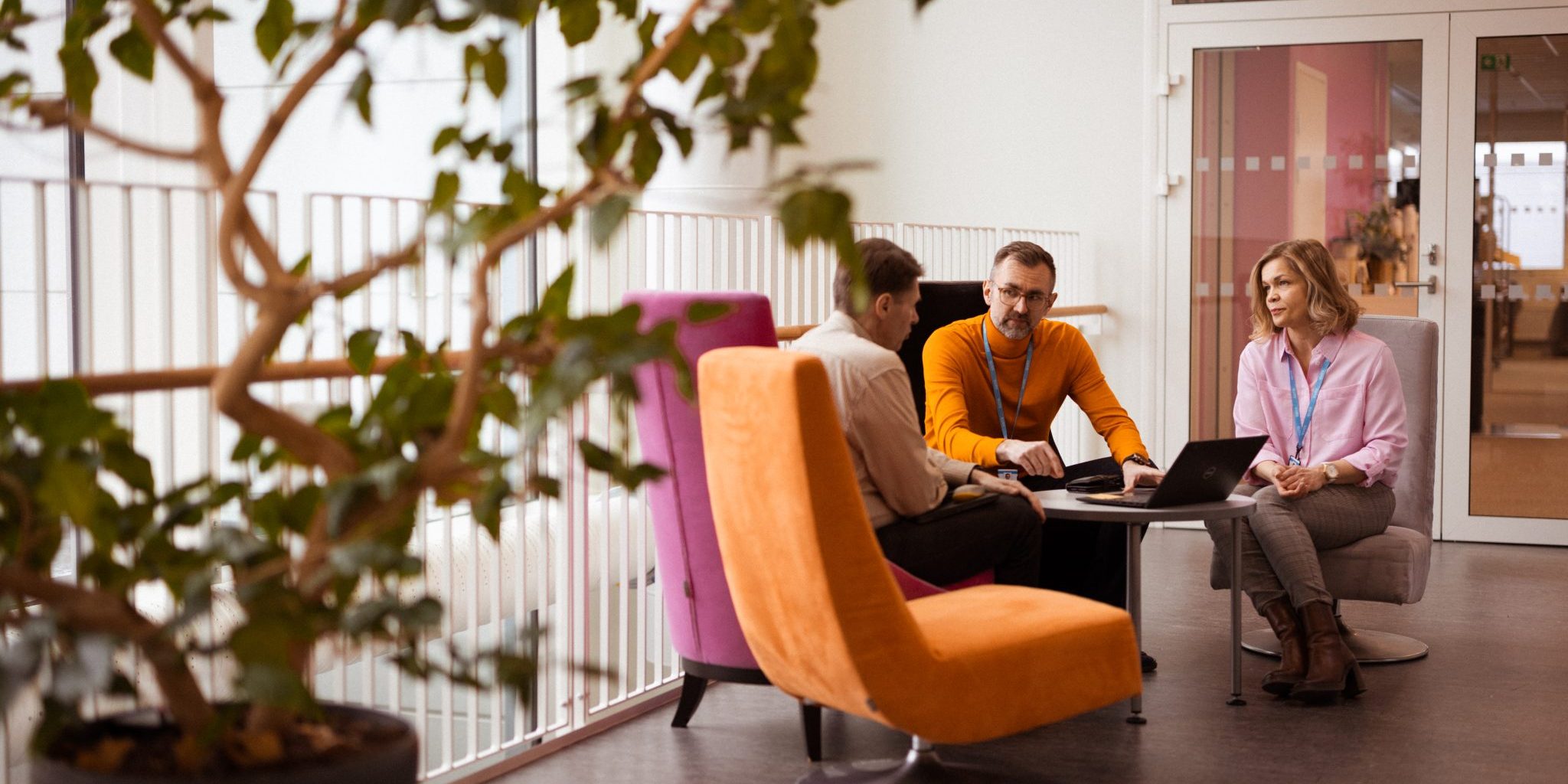 Three people are sitting on chairs in the background. In the left foreground, a fuzzy woody plant in a pot.